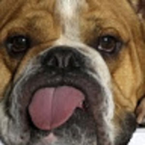 Meet your Posher, Zachary